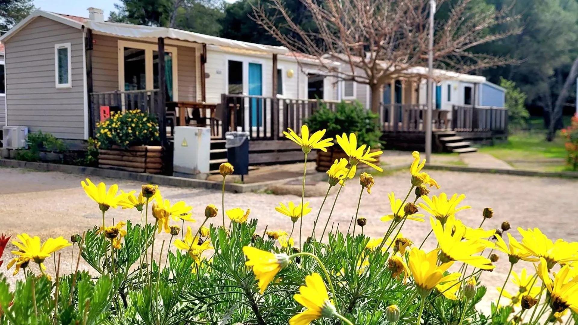 Camping Aux Portes De Cassis 로크포르라베둘 3*,