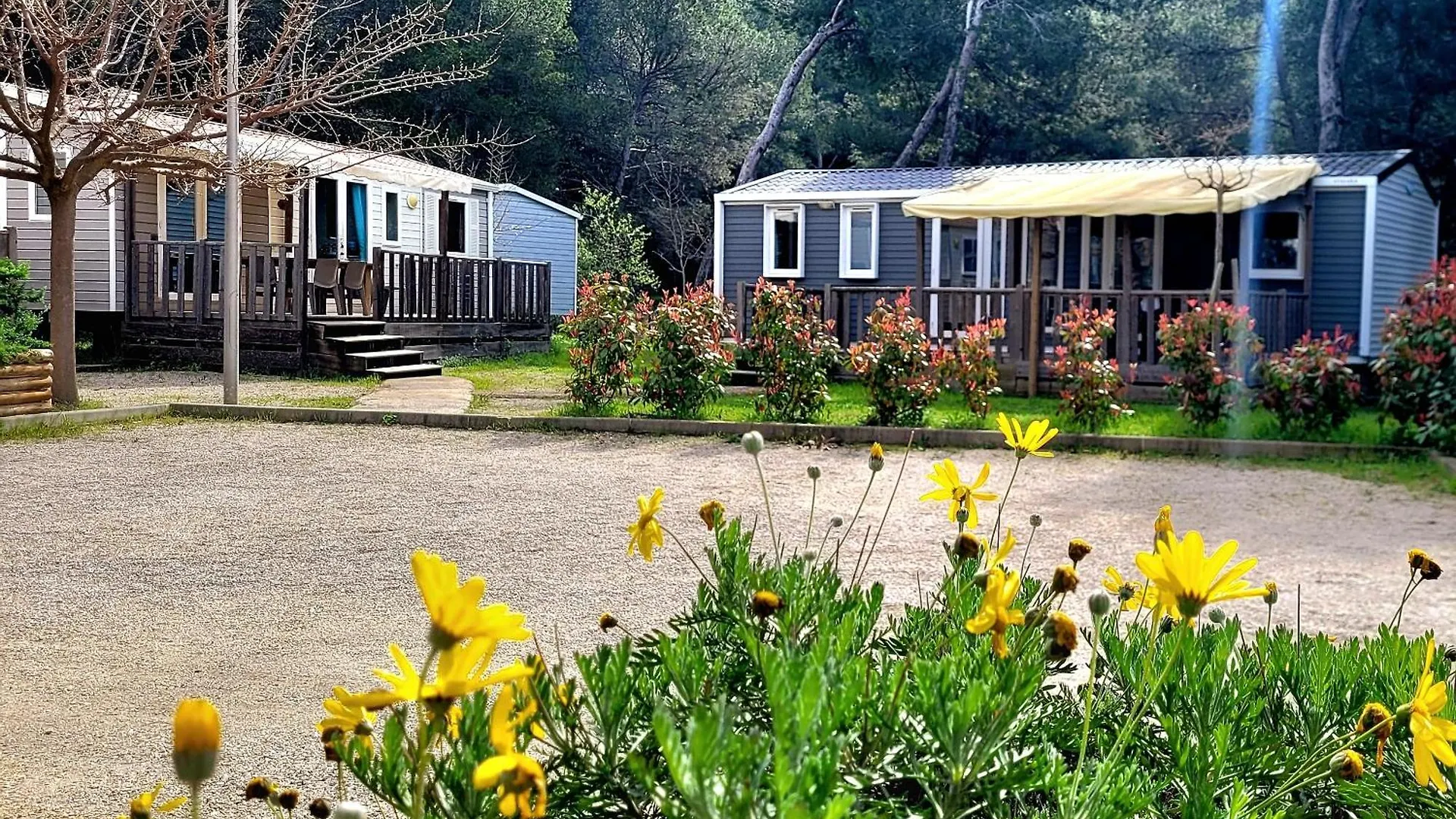 Camping Aux Portes De Cassis روكفور-لا-بيدول